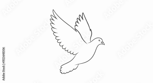Line art drawing of a dove in flight with wings spread wide
