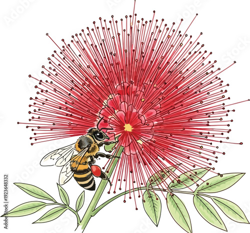 A colorful illustration of a bee collecting nectar from a vibrant red flower
