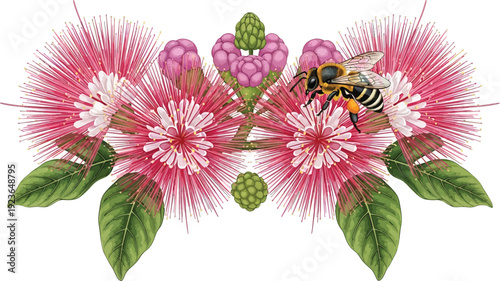 A colorful illustration of a bee collecting nectar from a vibrant pink flower arrangement
