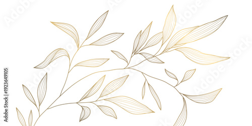 Luxury botanical pattern, elegant gold line leaves, floral elements on white background. Modern vector illustration Japanese and Chinese ornament, vintage deco style, wedding cards, spa