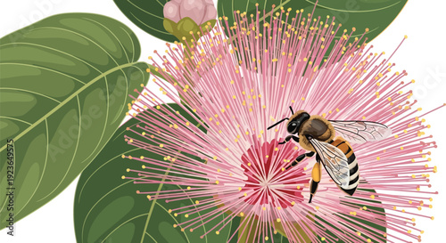 A bee collecting nectar from a vibrant pink flower with green leaves