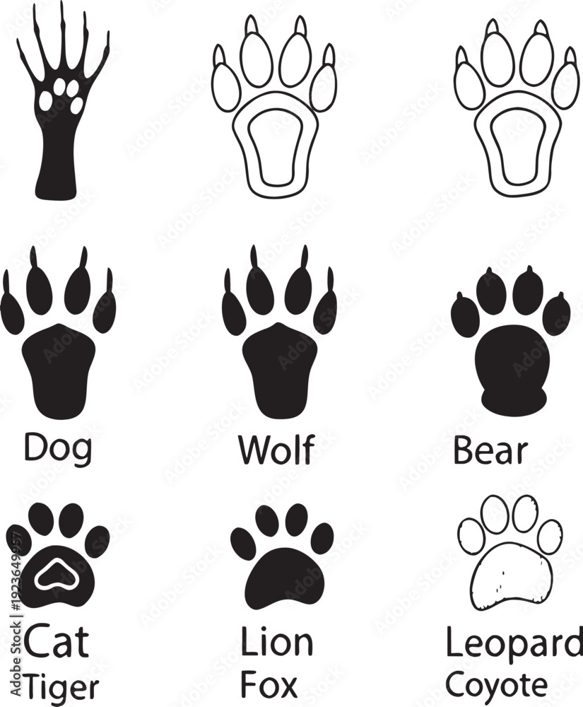 Fototapeta premium paw prints vector