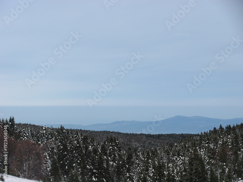Aerial Winter Forest Landscape Covered With Fresh Snow