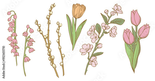 Spring flowers sketch collection. Vintage floral art set with tulips, bluebells, willow branches, cherry blossom