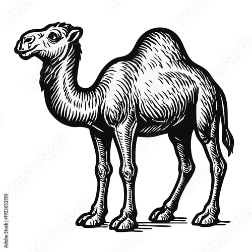 Minimalist placeholder for a vector file icon or document