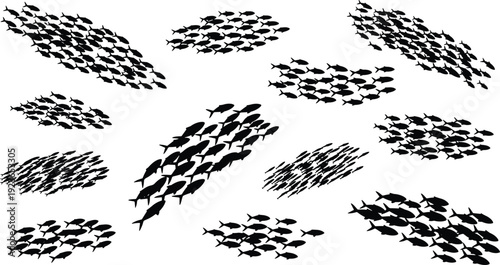 Fish School Shoal Marine Ocean Sea Underwater Silhouette Group Swim Swimming Aquatic Nature Wildlife Movement Pattern Vector Illustration Design Black Minimal