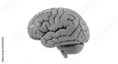 Halftone Human Brain Side View Anatomy Vector Illustration Isolated on White Background
