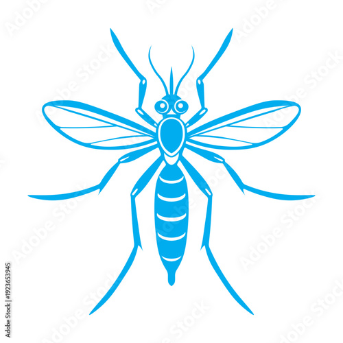 Aedes aegypti mosquito