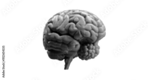 Halftone Human Brain Top View Vector Illustration Isolated on White Background