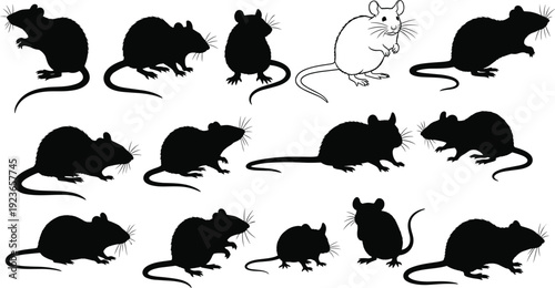 Rats Mice Rodents Silhouettes Set Collection Vector Illustration Black White Cartoon Animal Wildlife Pest Farm Urban Cute Sketch Icons Design