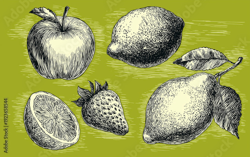 A black and white illustration of various fruits on a green background