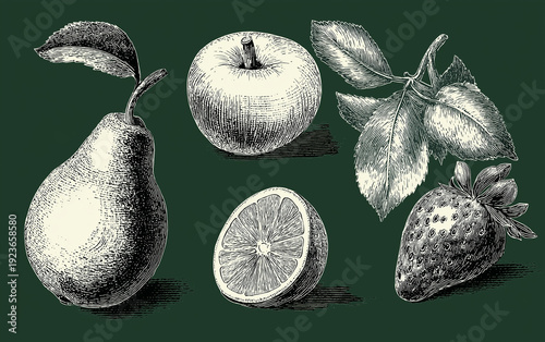 A black and white illustration of various fruits on a dark green background
