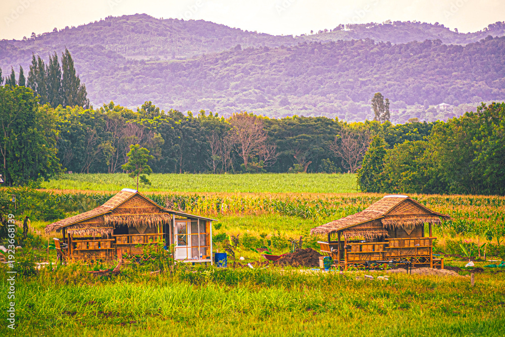 Fototapeta premium Peaceful Traditional Bamboo Huts in Rural Landscape