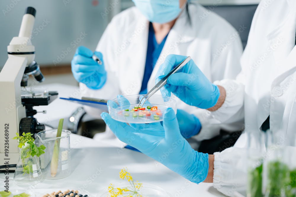 Fototapeta premium Scientists performing food testing in laboratory. Biotechnology research, GMO analysis, healthcare innovation, nutrition safety and pharmaceutical development.