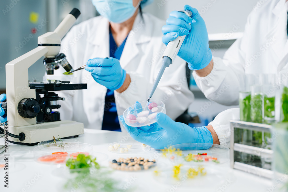 Fototapeta premium Scientists conducting biotechnology research in laboratory, testing plant and food samples for GMO analysis, nutrition safety, pharmaceutical development and innovation.