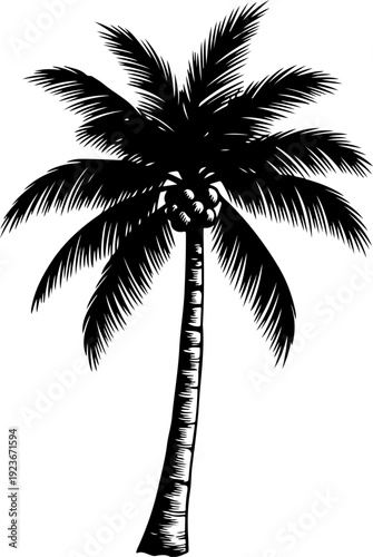 palm tree silhouette vector illustration