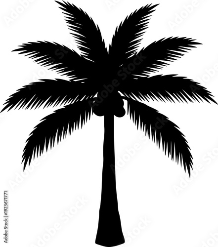 palm tree silhouette vector illustration