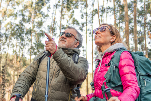 Active retired couple hiking through a sunlit forest, smiling and pointing at treetops while enjoying healthy, adventurous outdoor life and companionship in nature