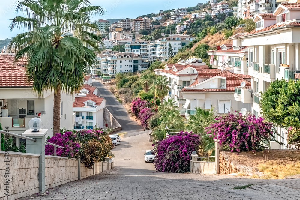 Fototapeta premium Horizontal shot of a bright Mediterranean street in Alanya with a large palm tree and vibrant bougainvillea flowers. The image captures the sunny atmosphere of a luxury residential district in Turkey