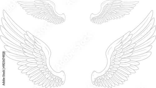 A minimalist line drawing of angel wings on a white background