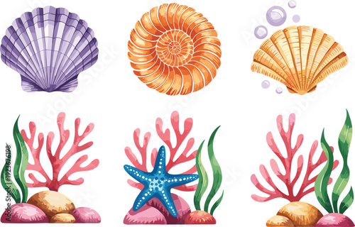 Seashell and coral reef illustration set, starfish ocean marine elements isolated decorative collection design