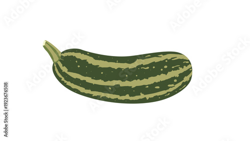 Flat Vector Illustration of a Fresh Green Striped Zucchini Isolated on White Background