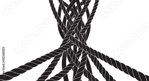 Intricately woven black and white ropes on white background