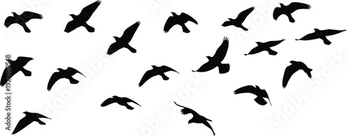 Flying birds silhouette set flock in motion wildlife nature wings spread sky freedom animal vector illustration collection