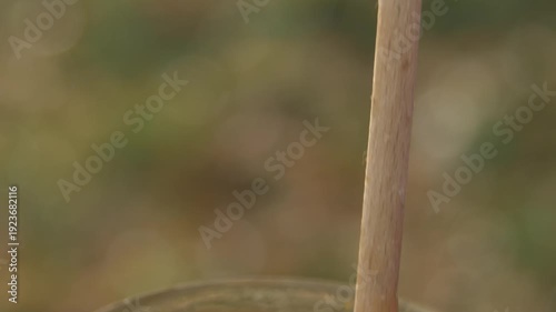 Wallpaper Mural Close-up detailed view of a beekeeper's hand stirring pale golden linden honey in a glass jar at the apiary Torontodigital.ca