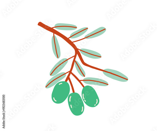 Colored flat funky green branch olives. Hand drawn bold illustration.