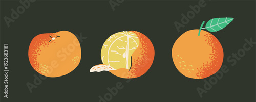 Fresh bold orange fruit set with leaves and slices. Collection of ripe citrus elements in flat funky style. Natural healthy fresh food.