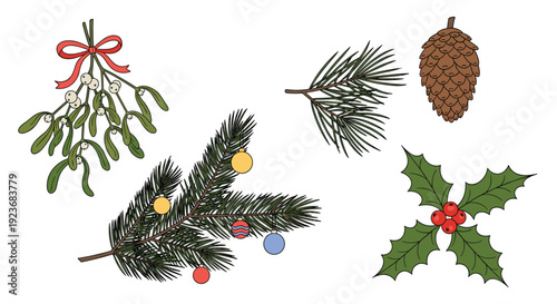 Decorative set of traditional Christmas foliage elements including mistletoe, pine branches with ornaments, berries, and holly leaves.