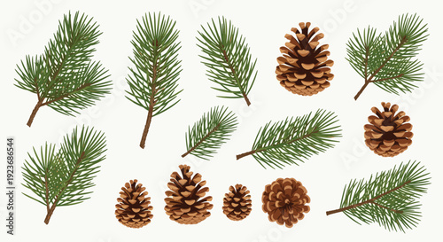 Large collection of realistic pine tree branches and brown pine cones isolated on a light background for winter holiday decorations.