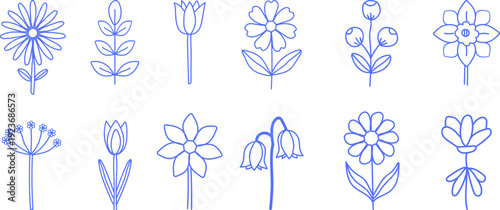 Minimal blue line spring flower set with daisy, tulip, bell flower, blossom and botanical elements, outline vector illustration. Suitable for March 8, Mother's Day, Easter, holidays Collection.