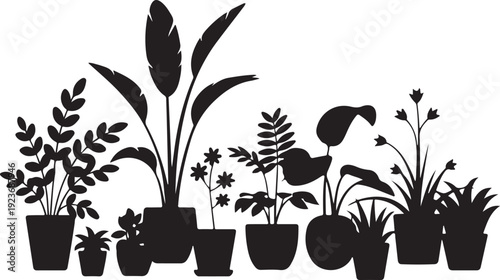 Diverse collection of various potted house plants presented as black silhouettes on a clean white background