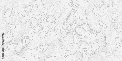 Mountain Relief Topographic Contour Pattern with Clean Elevation Line Art
Modern Geographic Mapping Inspired Abstract Design