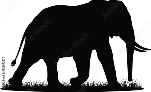 Black elephant silhouette vector