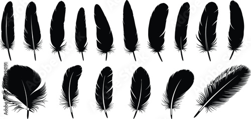 Set of black bird feather silhouettes isolated on white background, various plume shapes for graphic design, decorative quill wing elements