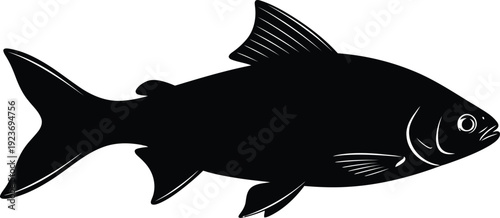 Black fish silhouette vector