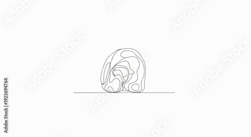 Organic abstract linear illustration of an organic form on a horizontal line