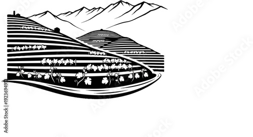 Rolling hills with terraced vineyards, mountains in the distance