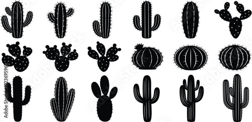 Minimalist blank canvas with soft light