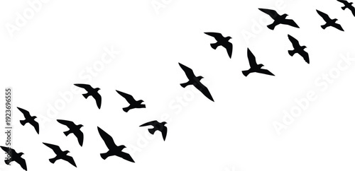 A flock of flying bird silhouettes, black birds in migration, minimalist vector illustration of freedom, isolated on white background.