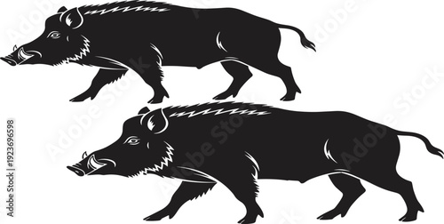 A powerful set of two wild boar silhouettes, one solid black and one with detailed highlights, illustrating a walking motion for wildlife logos, hunting emblems, and masculine design projects.