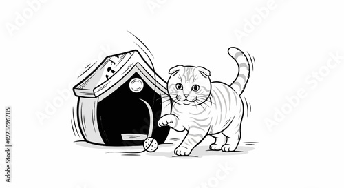 Playful cat with a toy near its house