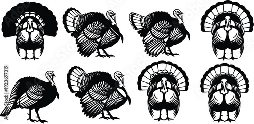 Black and white wild turkey vector illustrations, thanksgiving holiday graphic design elements, autumn season poultry birds, traditional farm animals collection.