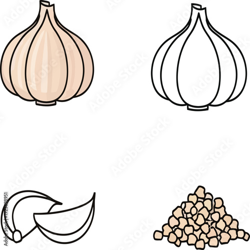 Garlic bulb and cloves illustration set isolated on transparent background
