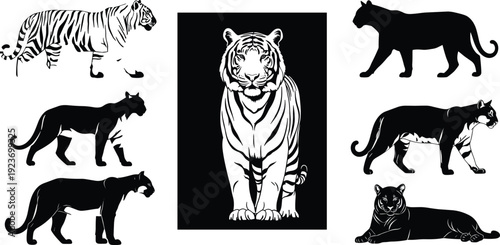 Tiger silhouette collection, wild predatory cat vector, jungle feline icons, safari animal design elements, Bengal tiger set, powerful wildlife graphics.