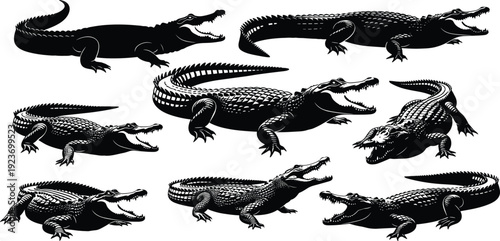 Crocodile silhouette collection, alligator reptile vector, predatory swamp animal icons, wildlife aquatic lizard design elements, dangerous river creature set, nature.