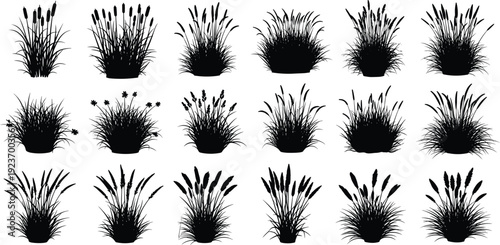 Reed grass silhouette collection, cattail plant vector, marsh vegetation icons, wetland nature design elements, aquatic botanical set, meadow pond greenery.